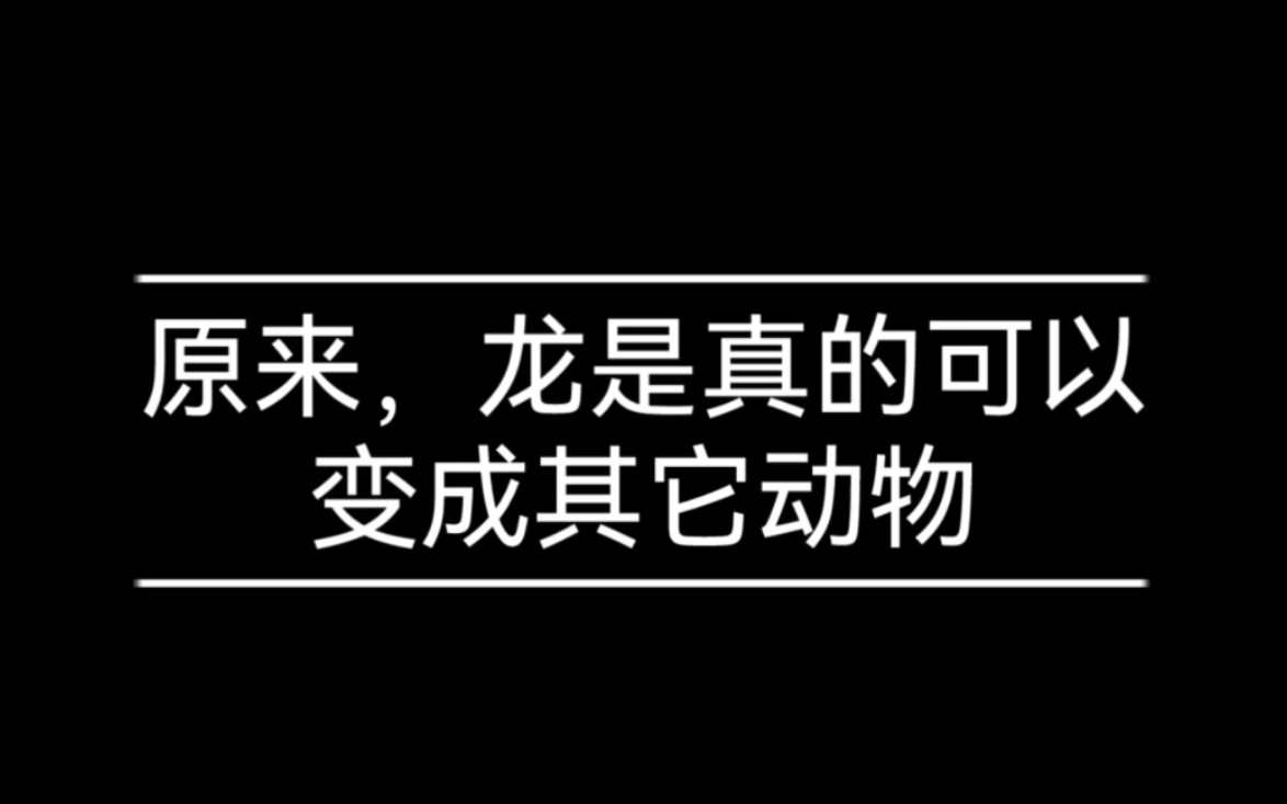 [图]《转生成为一只龙，却被当成一只汪》