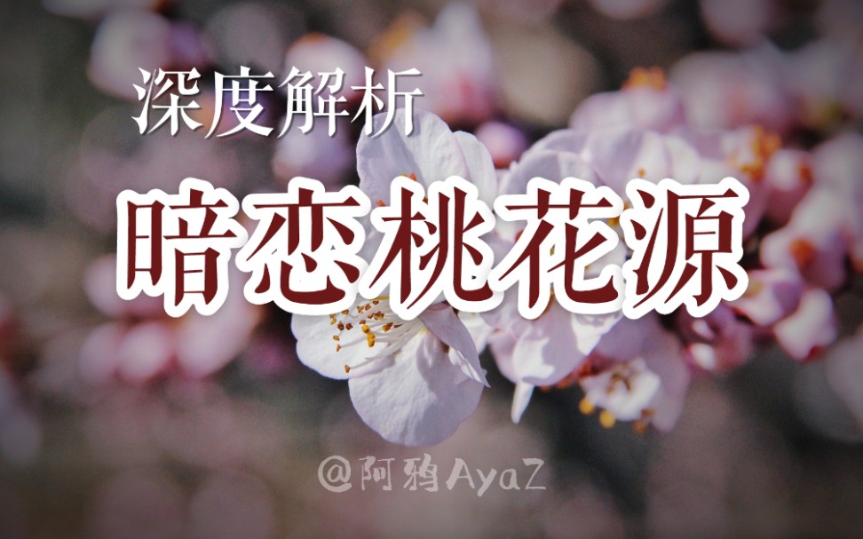 [图]万字长评｜深度解读《暗恋桃花源》：剧场篇