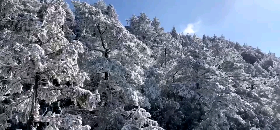 葛仙山风景哔哩哔哩bilibili