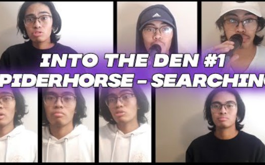 [图]"太美了！Den一人演奏Spiderhorse - Searching"