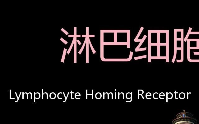 淋巴细胞归巢受体 chinese pronunciation lymphocyte homing