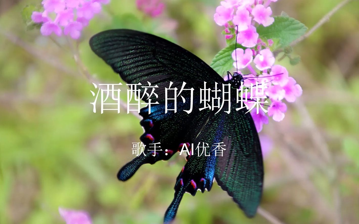 【碧蓝档案】酒醉的蝴蝶