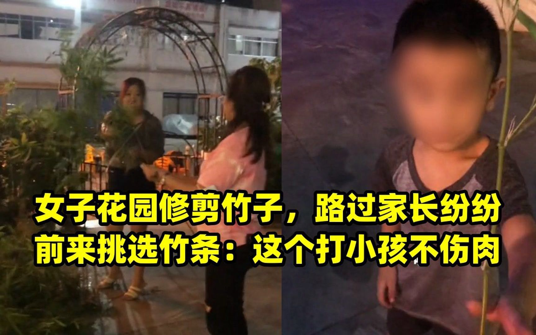 女子花园修剪竹子,路过家长纷纷前来挑选竹条:这个打小孩不伤肉
