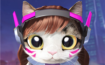 老黑猫-d.va的精彩表现