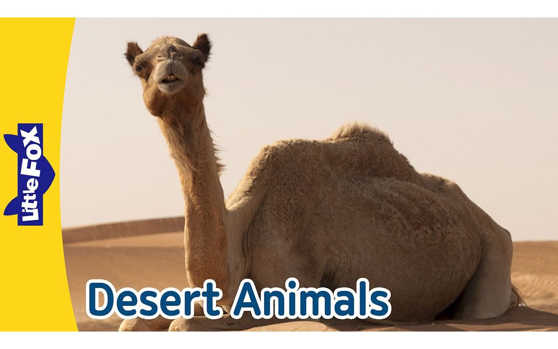 fascinating world of desert animals | meet camels, geckos