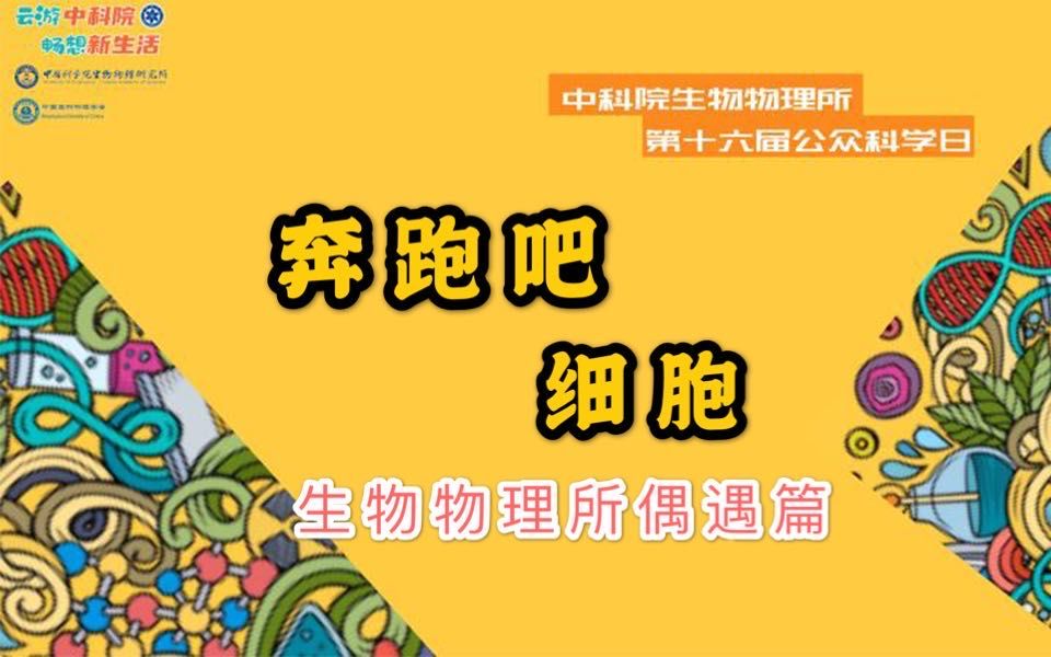 2020中科院生物物理所公众开放日之生物物理所偶遇篇哔哩哔哩bilibili