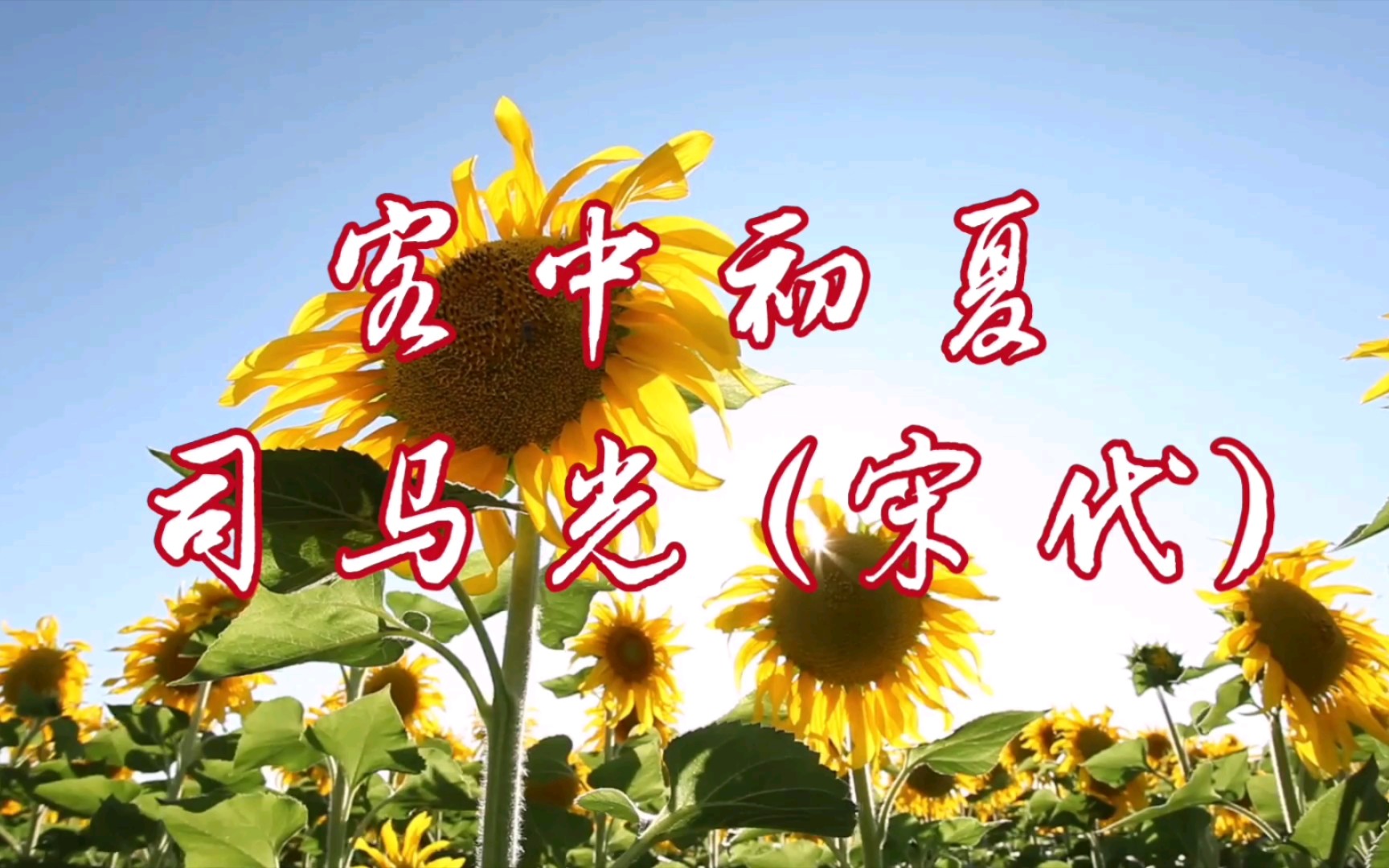 [图]客中初夏司马光 (宋代)