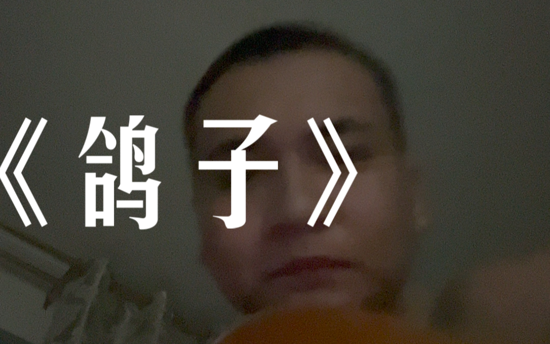 宋冬野-《鸽子》