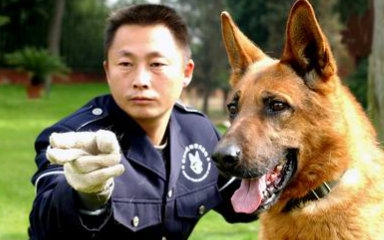 [图]【纪录片】见证 警犬出击