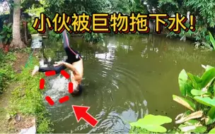 Tải video: 小伙被巨物拖下水！还好爬了上来，回去找人把池塘一网打尽！