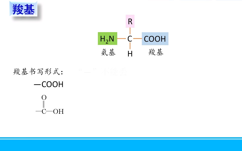 文心雕龙高中生物一轮复习微课1.2.1羧基哔哩哔哩bilibili