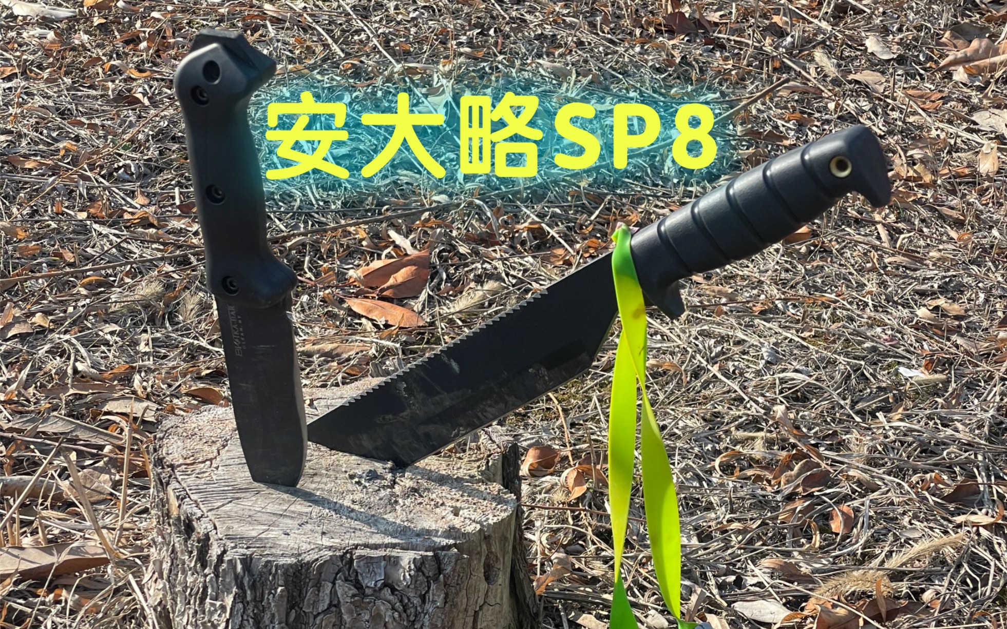 安大略SP8 小玩玩 天气不错哔哩哔哩bilibili