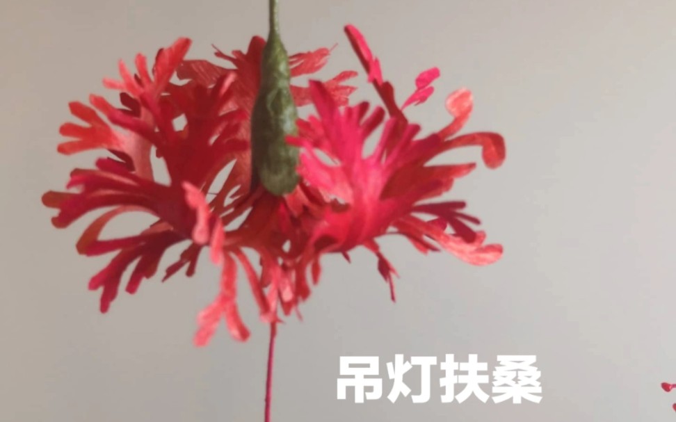 [图]奋战两晚的成果 从DK植物大百科封面第一次看到她，按捺不住内心的澎湃，那么，熬最深的夜也要把你拿下 花瓣: 140/180克进口皱纹纸叶子: 国产绿色