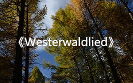 [图]《Westerwaldlied》西部森林之歌