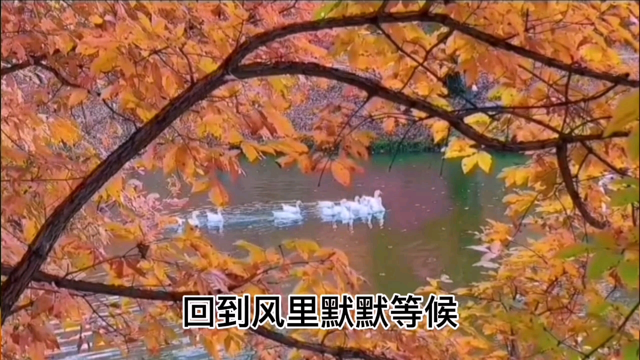 [图]一首非常好听的经典歌曲《又逢深秋》唱的轻松好听完之后回味无穷