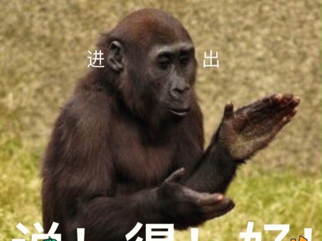 再慢点就死了哔哩哔哩bilibili