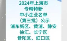 2024年上海市专精特新中小企业名单(第三批)公示浦东新区、黄浦、静安、徐汇、长宁区、普陀区、虹口区哔哩哔哩bilibili