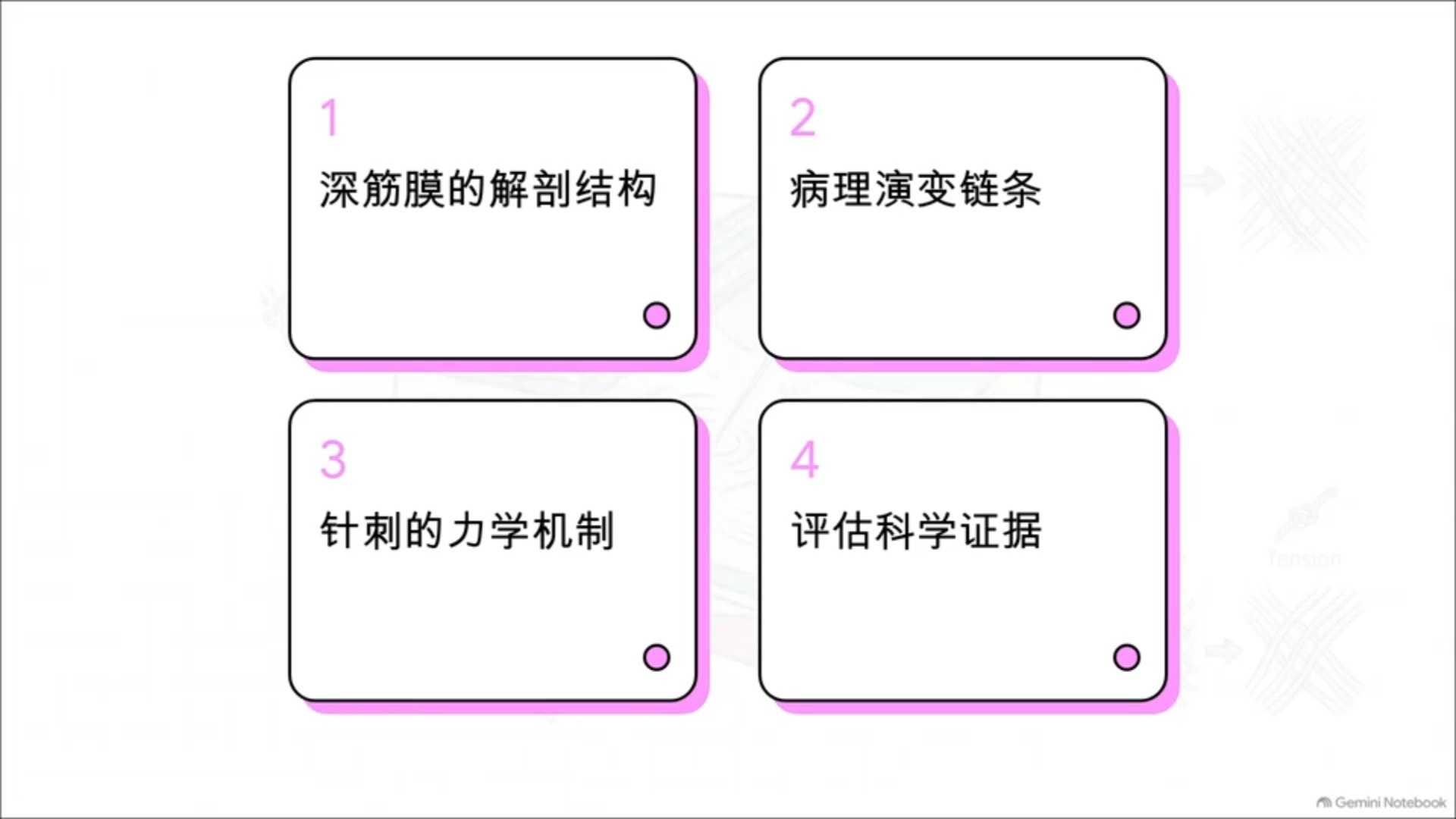 皮肤下的力学秘密：揭开筋膜面纱