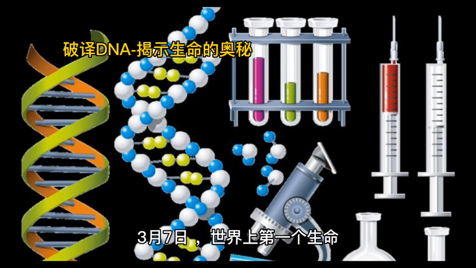 [图]破译DNA-揭示生命的奥秘