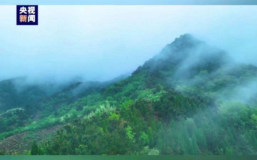 生机勃勃!济南南部山区再现春山烟雨景观~哔哩哔哩bilibili