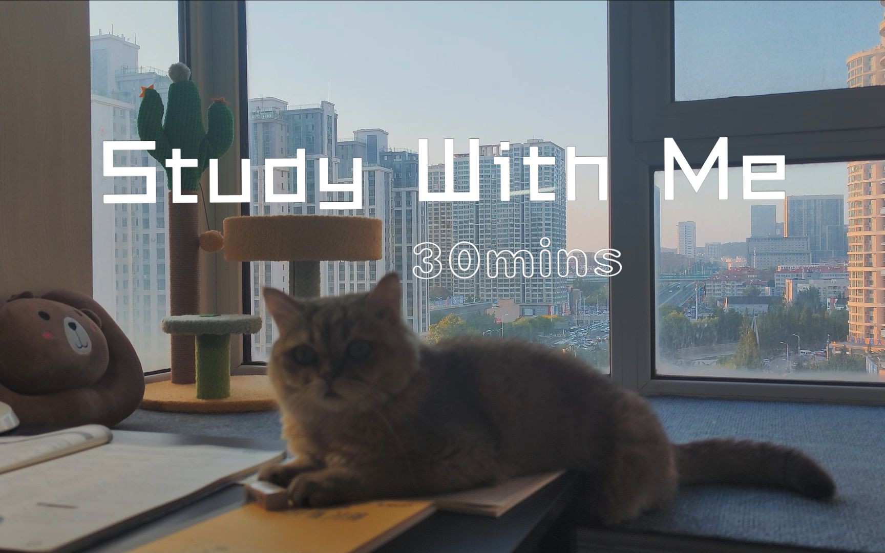 [图]Study with me｜30分钟窗边原声陪伴学习｜妈妈在隔壁看电视｜白噪音｜无音乐｜猫咪伴学｜