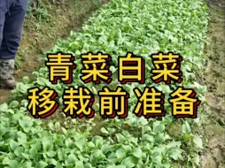 Download Video: 有机肥和化肥怎么配比做底肥