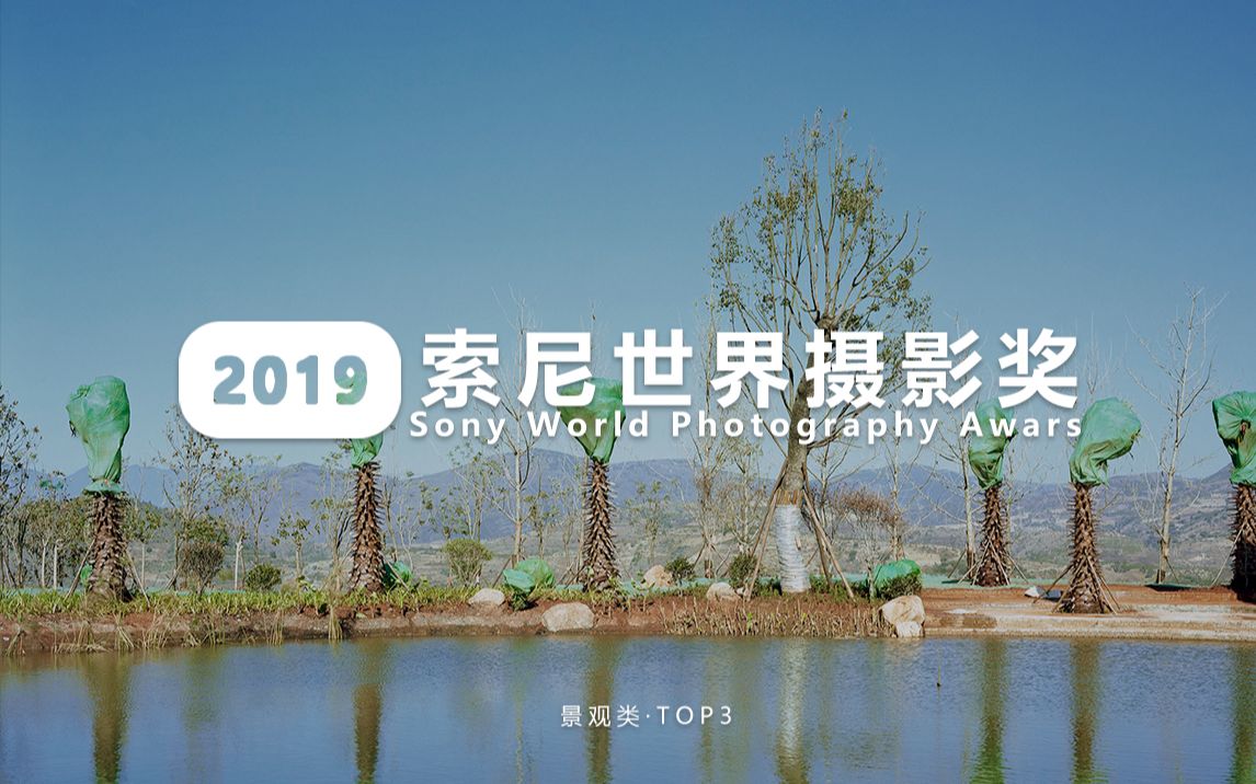 「摄影与审美」2019索尼世界摄影大赛丨景观类TOP3哔哩哔哩bilibili