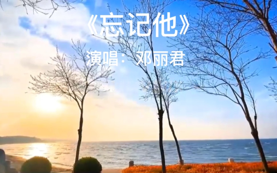 经典老歌,百听不厌.《忘记他》完整版,演唱:邓丽君哔哩哔哩bilibili