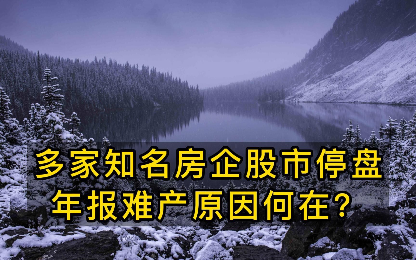 多家知名房地产企业港股停盘,年报难产到底为何哔哩哔哩bilibili