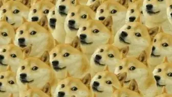 不好啦！快来看那！又有大事发生了！