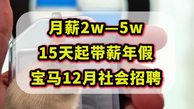 15薪,世界十大汽车制造厂商之一,955周末上下班不打卡,可居家办公,员工折扣购车,长期服务奖,交通补贴.哔哩哔哩bilibili