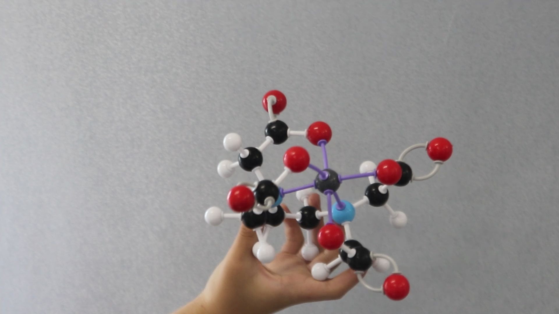 活动  【分子模型】edta合钙离子