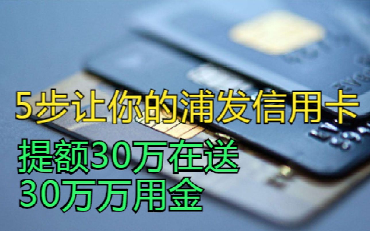 深度:揭秘浦发银行信用卡提额秘籍,5步让你浦发信用卡提额30万哔哩哔哩bilibili