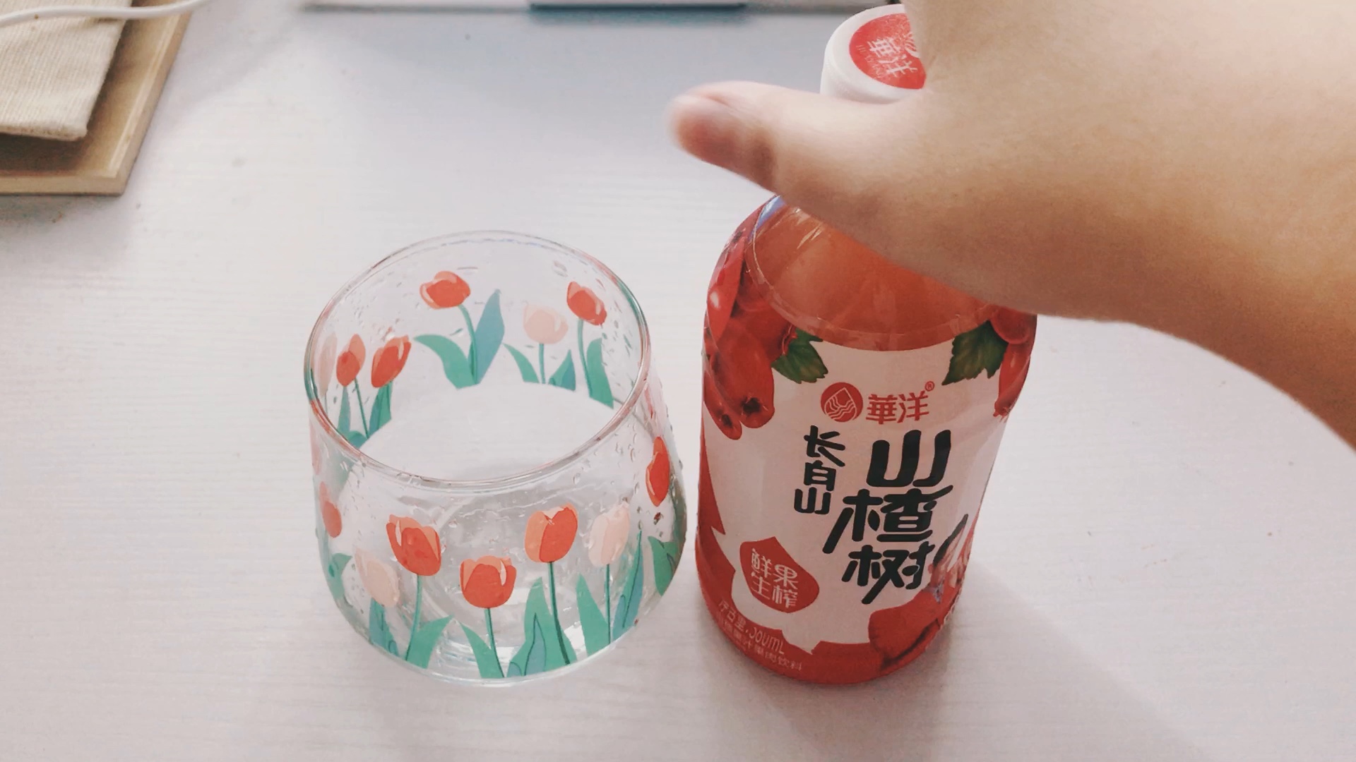 郁金香杯杯哔哩哔哩bilibili