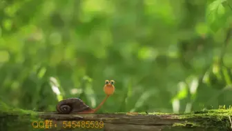 EXCEL小白脱白系列课程Excel基础教程视频Excel入门教程Excel零基础Excel操作技巧vlookup公式
