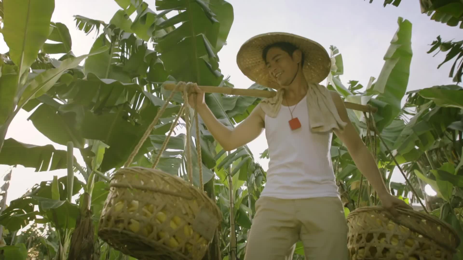 台湾好戏《天之蕉子》首支teaser大公开-金蕉篇