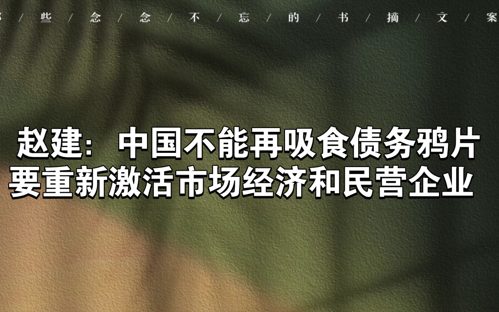 赵建:中国不能再吸食债务鸦片,要重新激活市场经济和民营企业哔哩哔哩bilibili