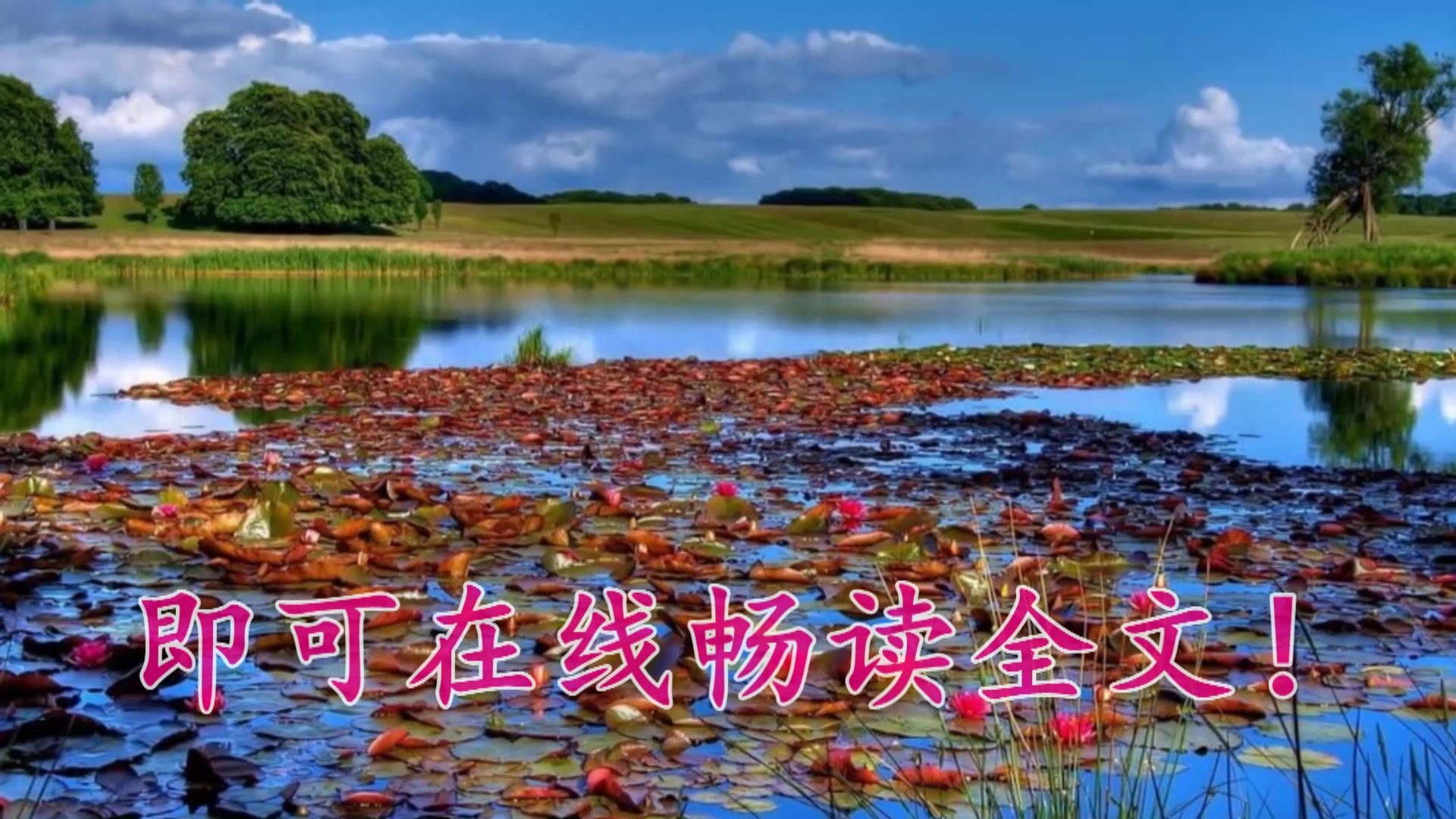 《九爷的心尖宠》完整版在线阅读(墨心儿秦北墨)小说