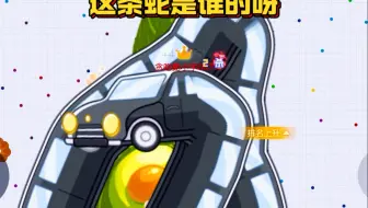 这条小蛇谁家的