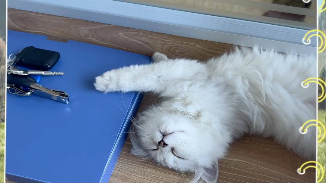 我妈看我在家呆的太舒服,于是把我带到厂里陪她上班,没想到我待得照样