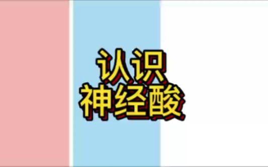 认识神经酸哔哩哔哩bilibili