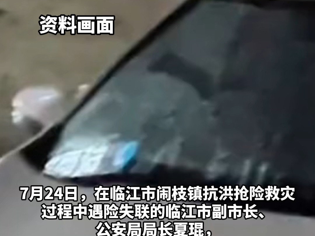 吉林临江市副市长、公安局局长夏琨,在抗洪抢险中因公牺牲.哔哩哔哩bilibili