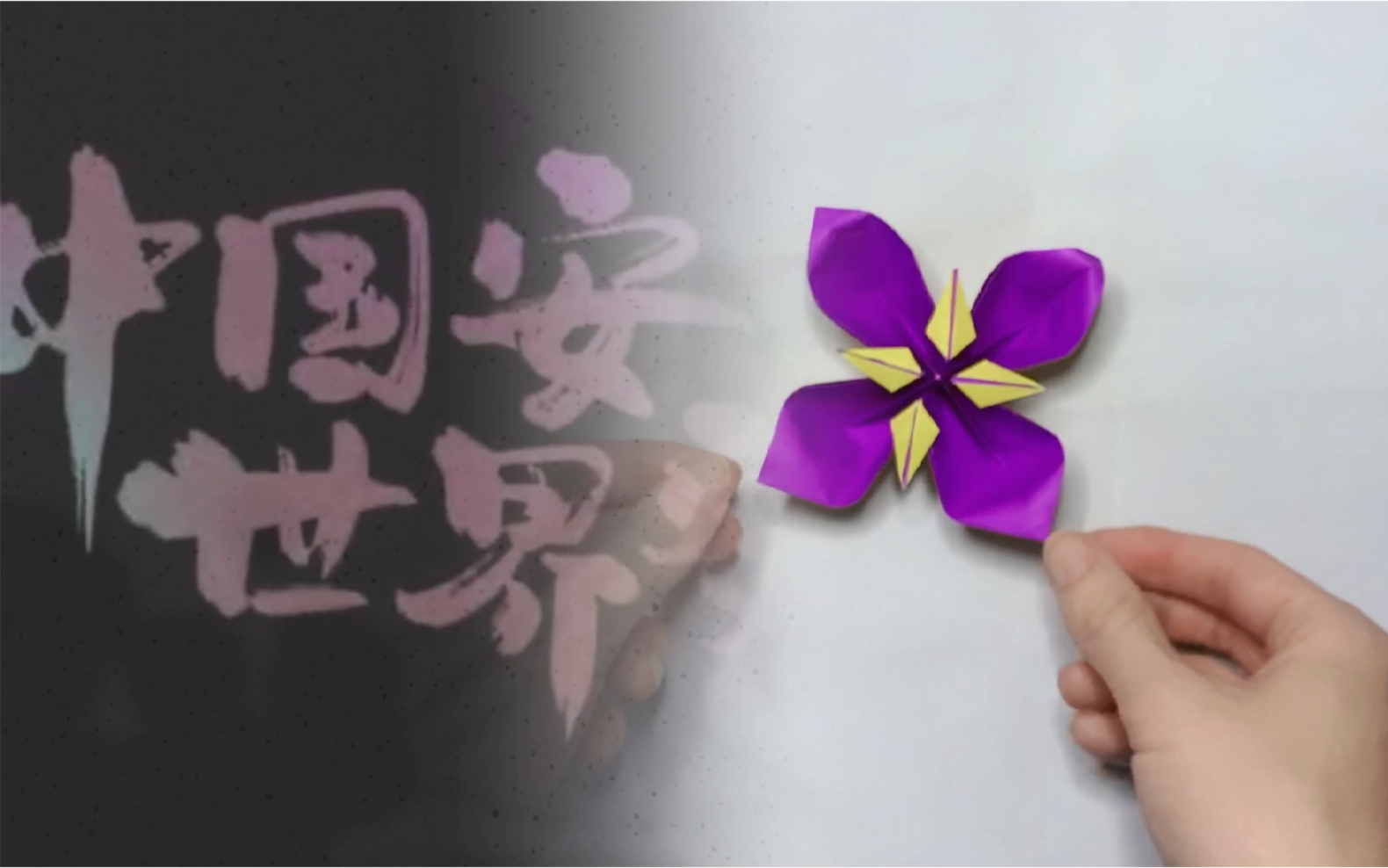 国家公祭日 折纸紫金草 纪念馆版权共享