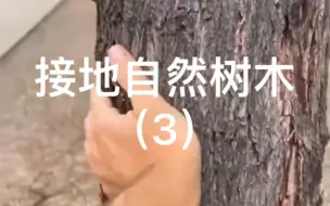 Download Video: 接地（3），接触自然树，消除身体静电，脑雾．．