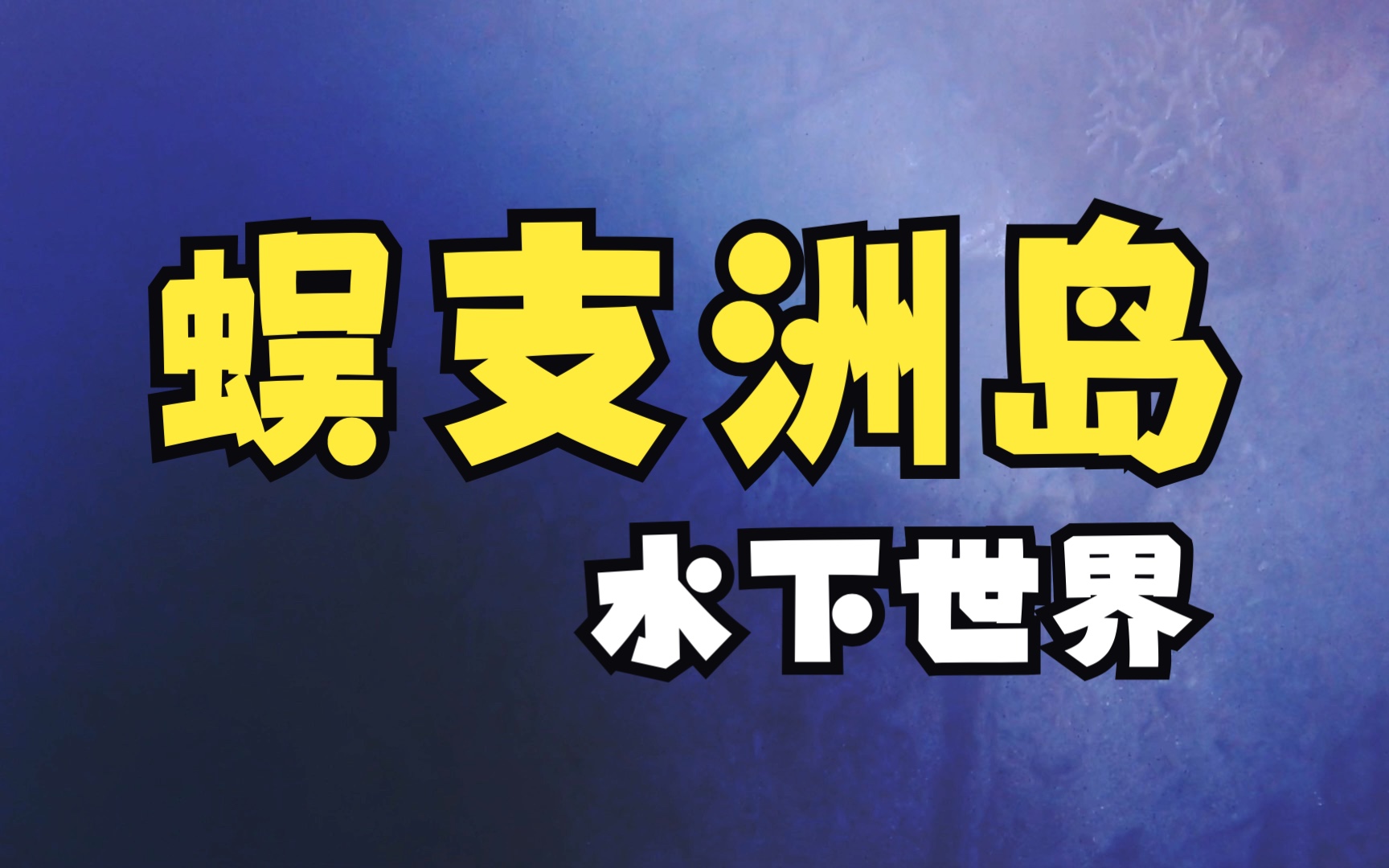 蜈支洲岛【潜水 海底漫步】