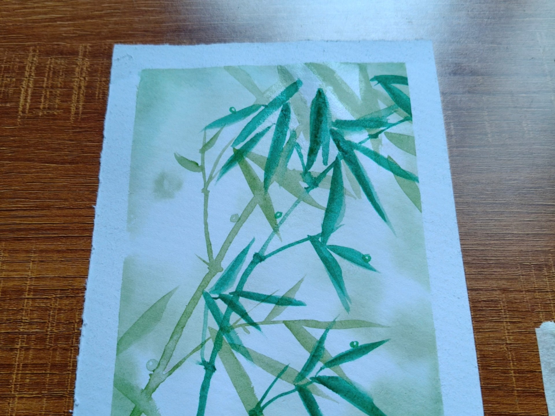 水彩练习20(雨后的小竹子)