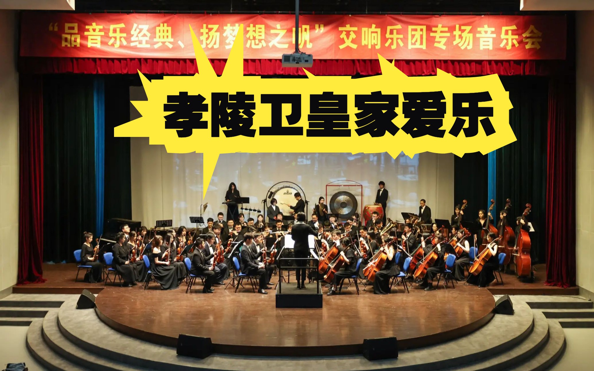 【xlwrpo】clarinet   havana   vltava river   fish in the pool