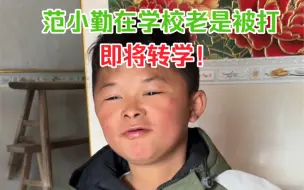 Tải video: 表哥扛不住了，又选择新年继续拍摄范小勤了，肥禽不愿上学，称老是有人打他！