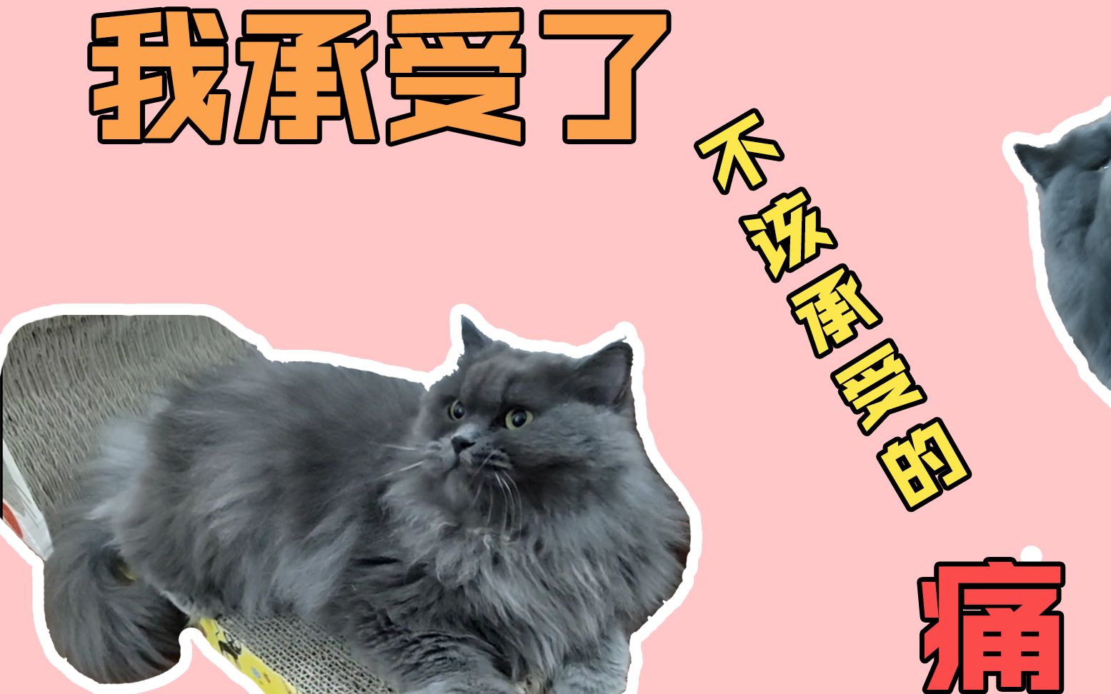 小样我还治不了你!