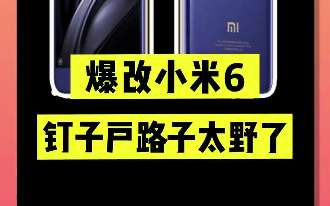 米6用户到底有多硬核?它已经是小米的文化符号了!哔哩哔哩bilibili